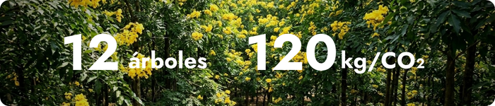 Plantar futuro una acción pequeña, con impacto medible